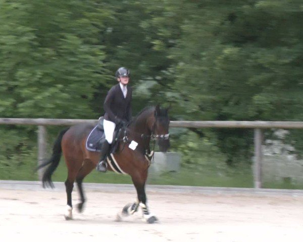 Reitturnier Erkrath - Uhlenhof 2025