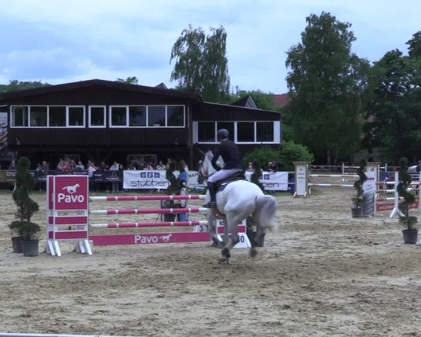 Reitturnier Niederbergheim 2025