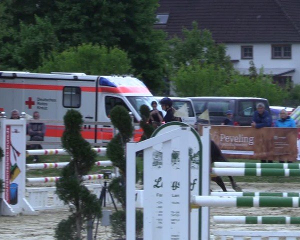 Reitturnier Niederbergheim 2025