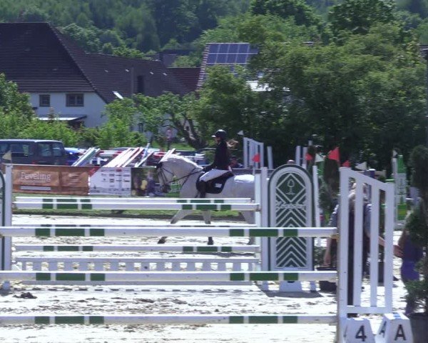 Reitturnier Niederbergheim 2025