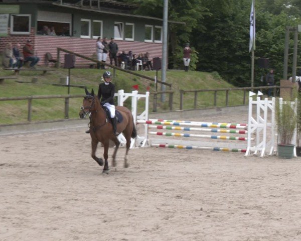 Reitturnier Erkrath - Uhlenhof 2025