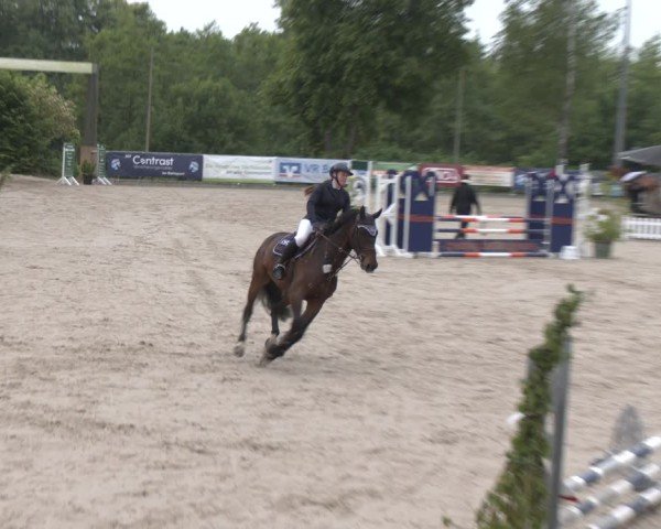 Reitturnier Erkrath - Uhlenhof 2025