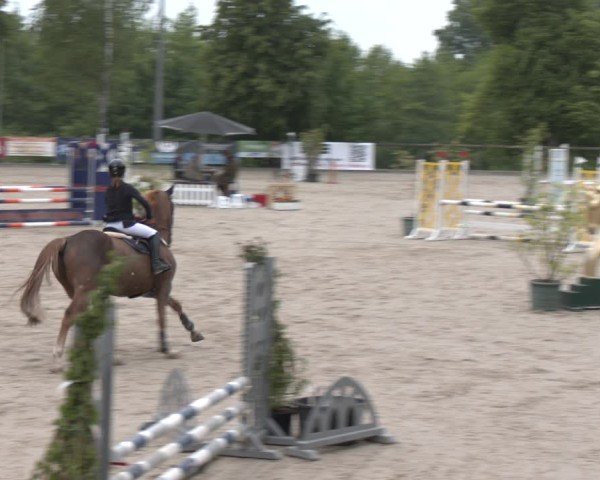 Reitturnier Erkrath - Uhlenhof 2025