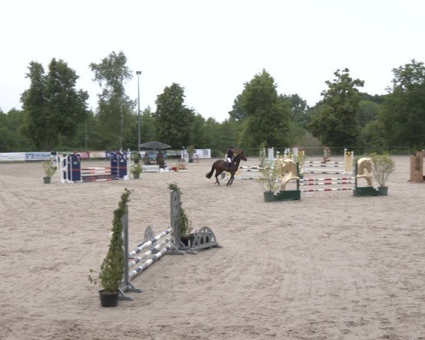 Reitturnier Erkrath - Uhlenhof 2025