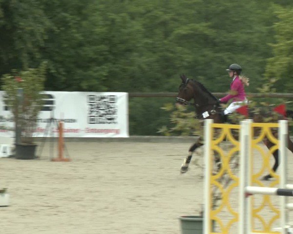 Reitturnier Erkrath - Uhlenhof 2025
