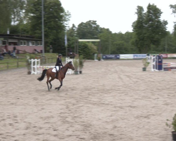Reitturnier Erkrath - Uhlenhof 2025