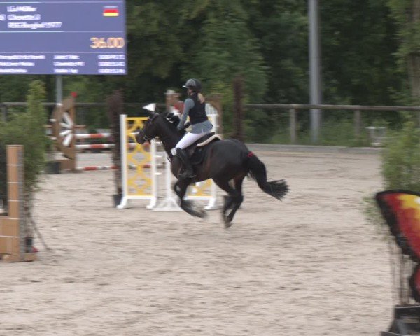 Reitturnier Erkrath - Uhlenhof 2025