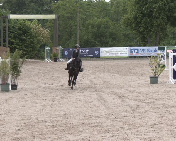 Reitturnier Erkrath - Uhlenhof 2025
