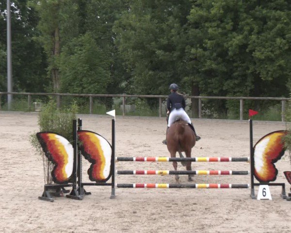 Reitturnier Erkrath - Uhlenhof 2025