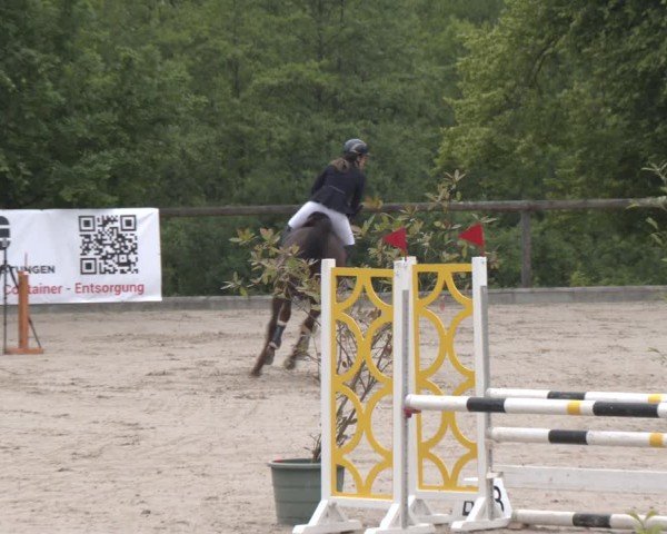 Reitturnier Erkrath - Uhlenhof 2025