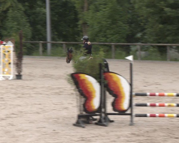 Reitturnier Erkrath - Uhlenhof 2025