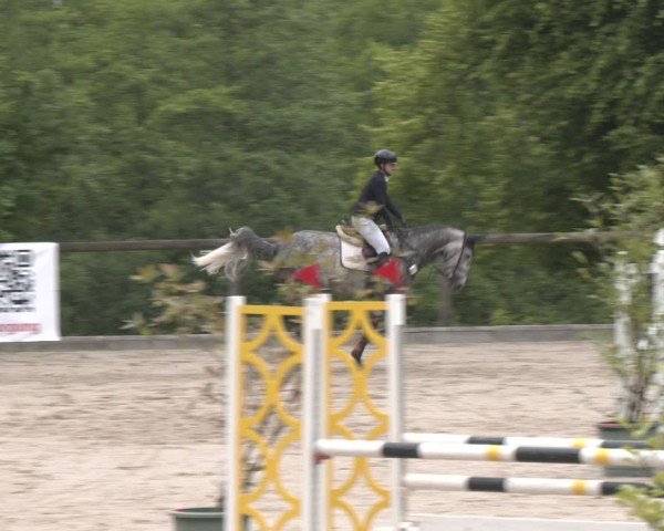 Reitturnier Erkrath - Uhlenhof 2025