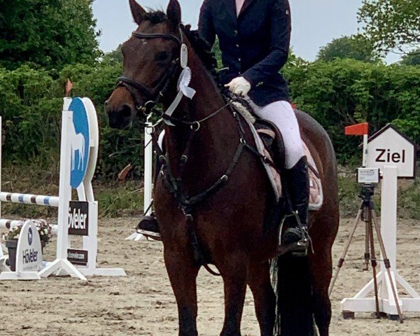 broodmare Delight S (German Riding Pony, 2017, from Del Piero 25)