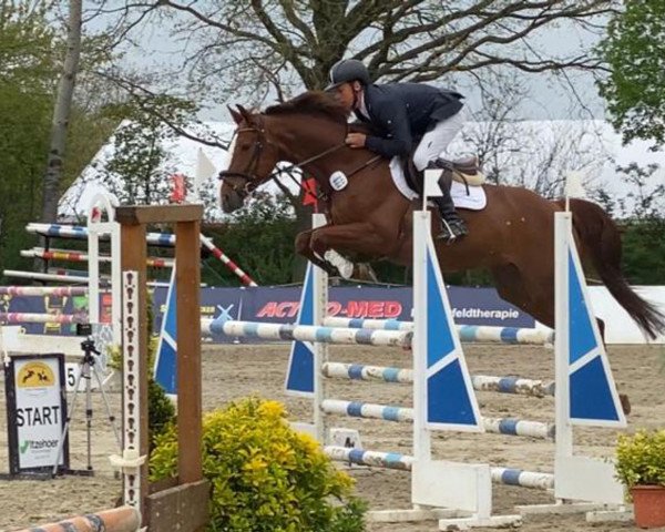 jumper Fine Pleasure 4 (Holsteiner, 2015, from For Pleasure)