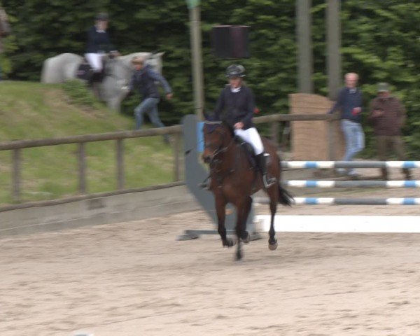 Reitturnier Erkrath - Uhlenhof 2025
