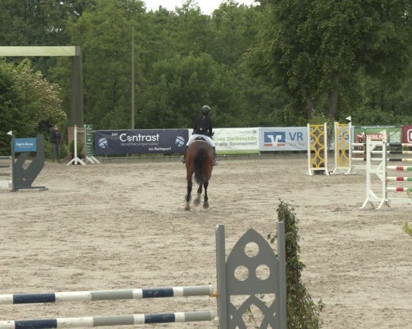 Reitturnier Erkrath - Uhlenhof 2025