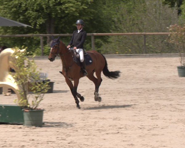 Reitturnier Erkrath - Uhlenhof 2025
