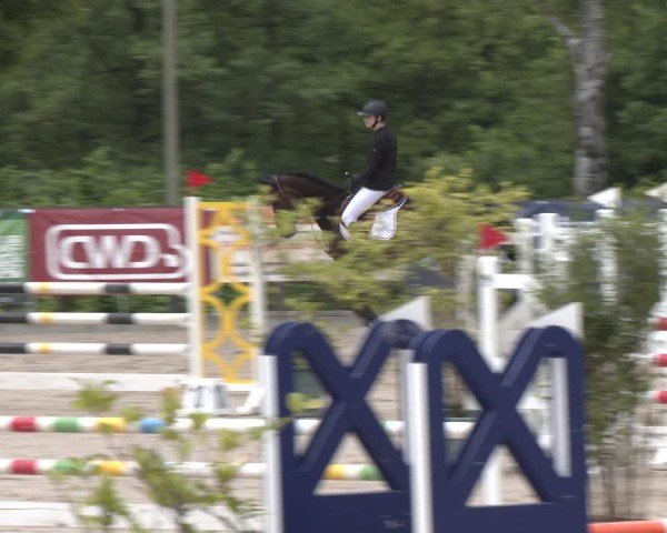 Reitturnier Erkrath - Uhlenhof 2025