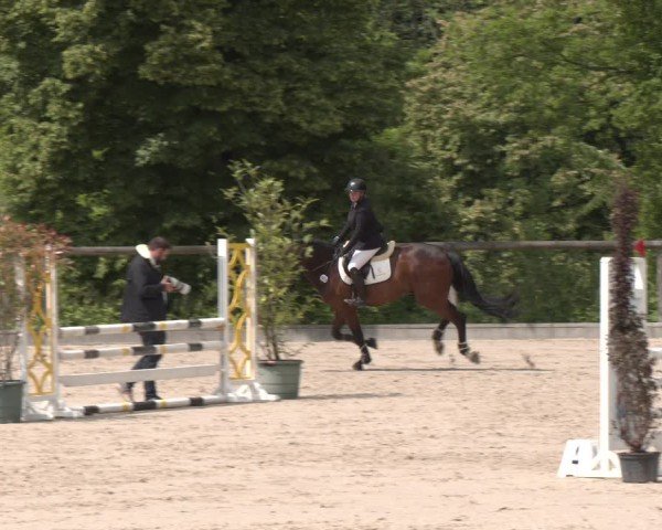 Reitturnier Erkrath - Uhlenhof 2025