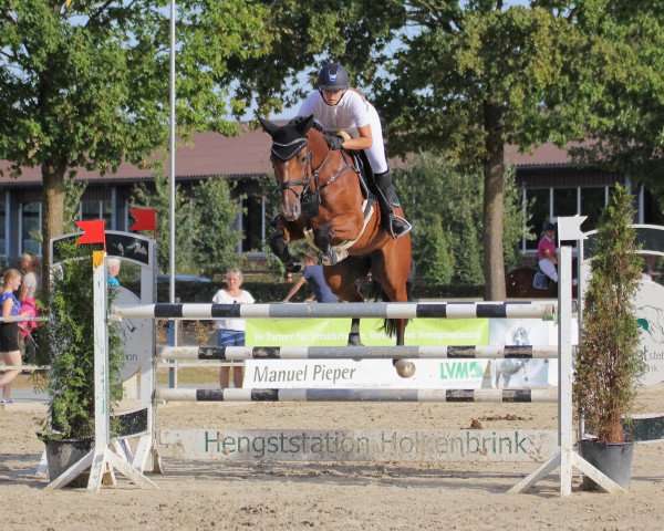 jumper Lancelot GD (Westphalian, 2011, from Lordanos)