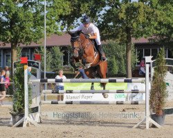 jumper Lancelot GD (Westphalian, 2011, from Lordanos)