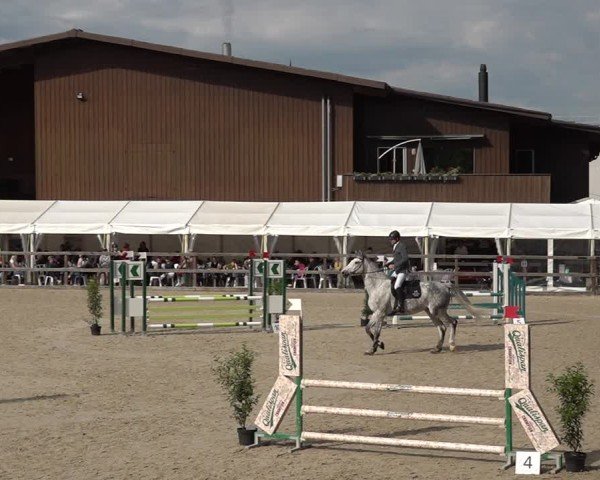 Reitturnier Sulgen 2025