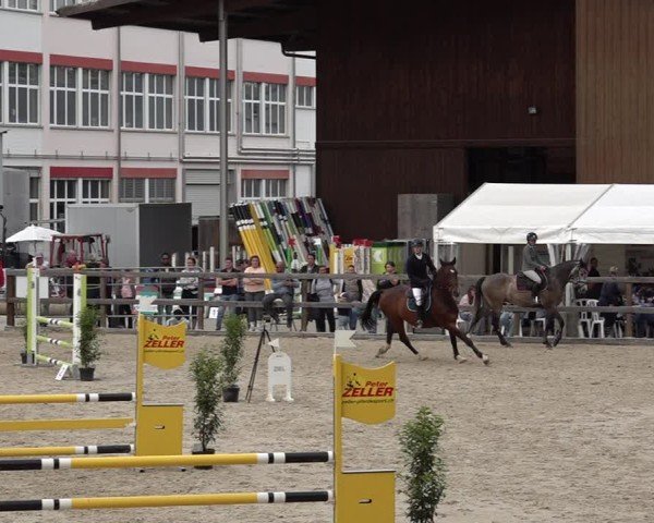 Reitturnier Sulgen 2025