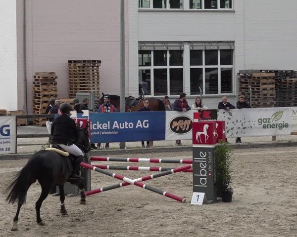 Reitturnier Sulgen 2025