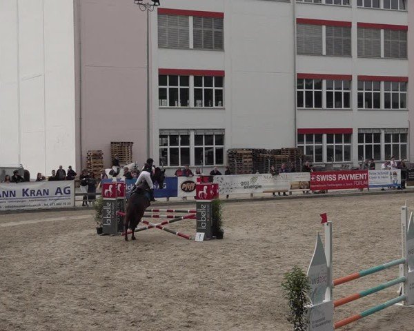 Reitturnier Sulgen 2025