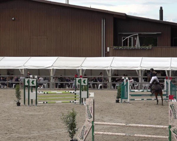 Reitturnier Sulgen 2025