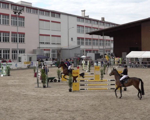 Reitturnier Sulgen 2025