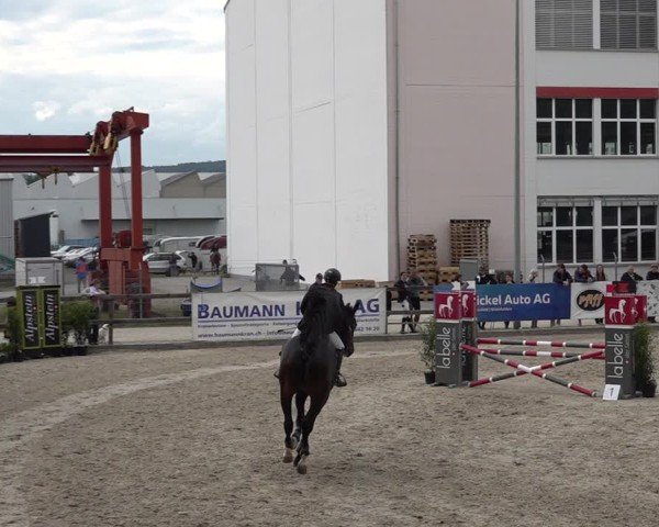 Reitturnier Sulgen 2025