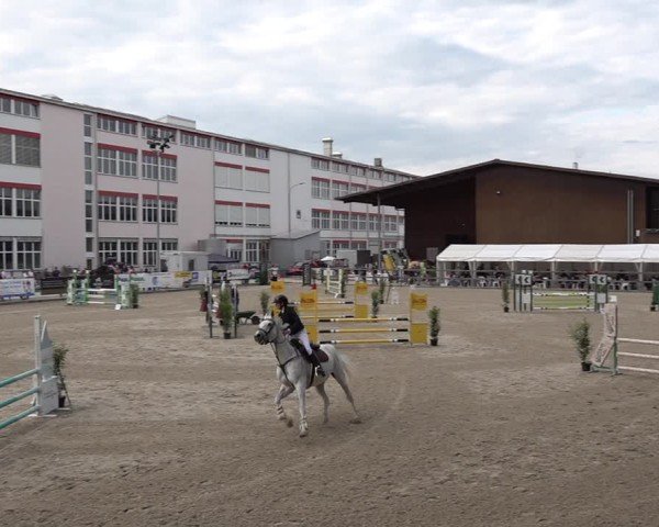 Reitturnier Sulgen 2025