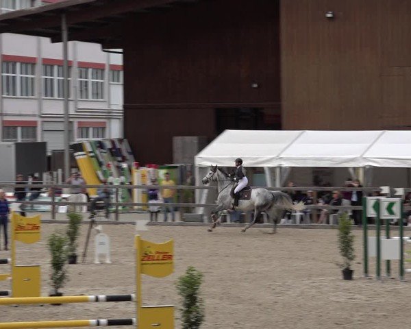Reitturnier Sulgen 2025