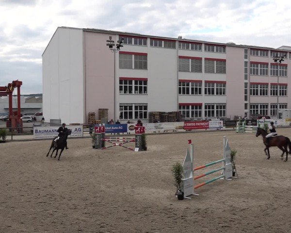 Reitturnier Sulgen 2025