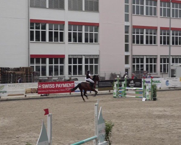 Reitturnier Sulgen 2025
