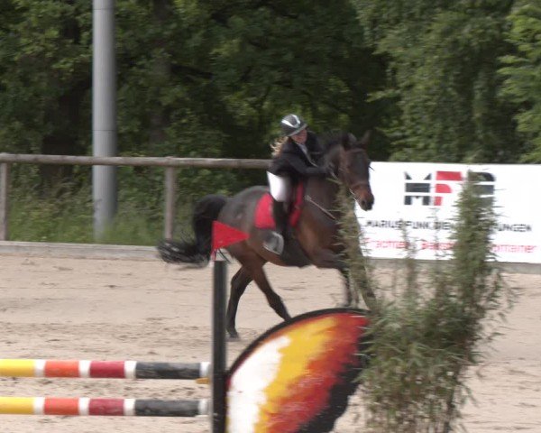 Reitturnier Erkrath - Uhlenhof 2025