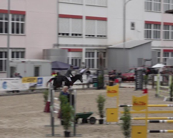 Reitturnier Sulgen 2025