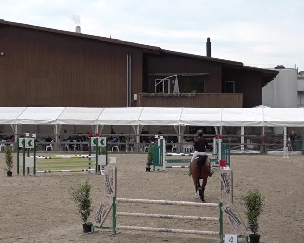 Reitturnier Sulgen 2025