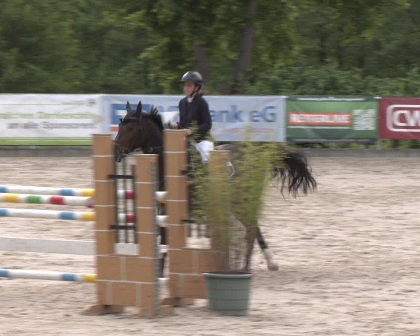 Reitturnier Erkrath - Uhlenhof 2025