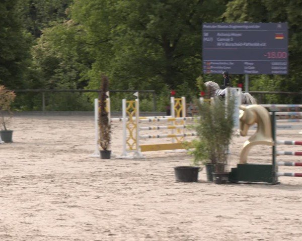 Reitturnier Erkrath - Uhlenhof 2025