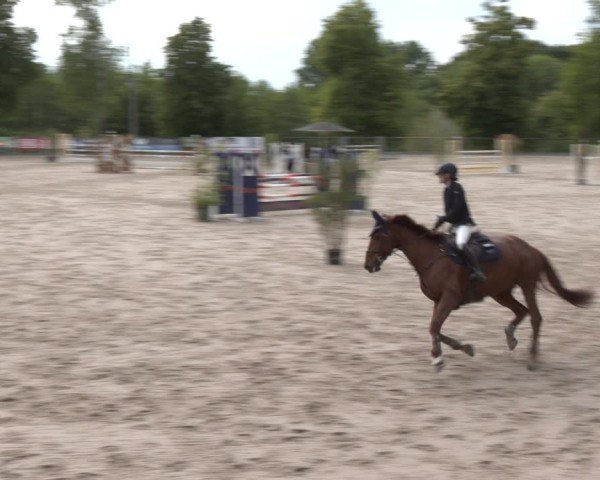 Reitturnier Erkrath - Uhlenhof 2025