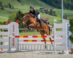 jumper Esta Lucra CH (Swiss Warmblood, 2010, from Lupicor)