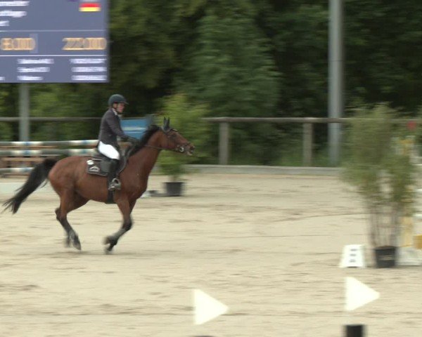 Reitturnier Erkrath - Uhlenhof 2025
