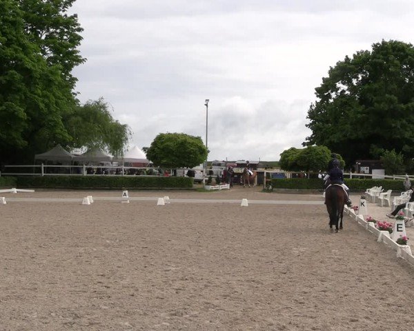 Reitturnier Müncheberg 2025