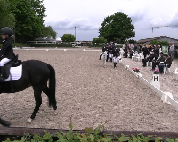 Reitturnier Müncheberg 2025