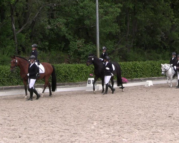 Reitturnier Müncheberg 2025
