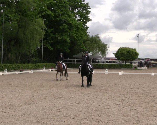 Reitturnier Müncheberg 2025