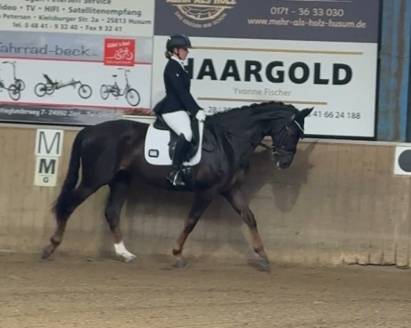 dressage horse Le Bonheur 7 (Hanoverian, 2018, from Livaldon)