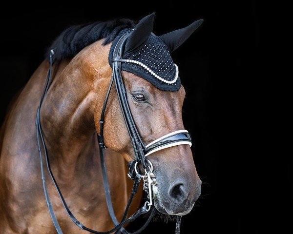dressage horse Grantorina (Bavarian, 2009, from Landprinz)